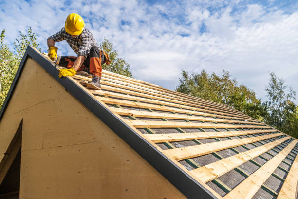Best Roof Gutter Cleaning  in Rkesburg, PA